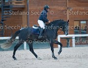 Caletto della Verdina Tosc Tour2013- S5 1902 : Arezzo, Caletto della Verdina, Cavalli d'Italia, Toscana Tour 2013, foto di Stefano Secchi ©